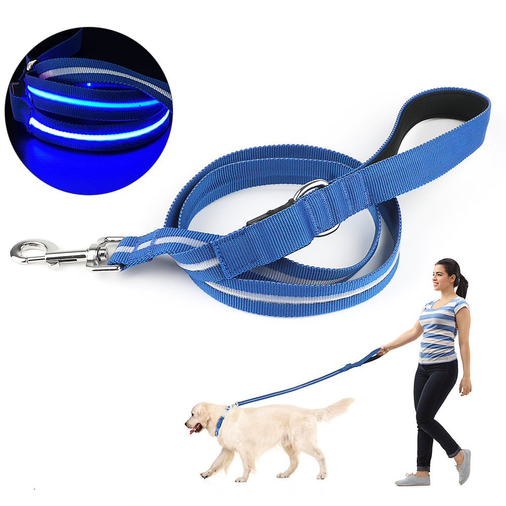Correa LED para perro