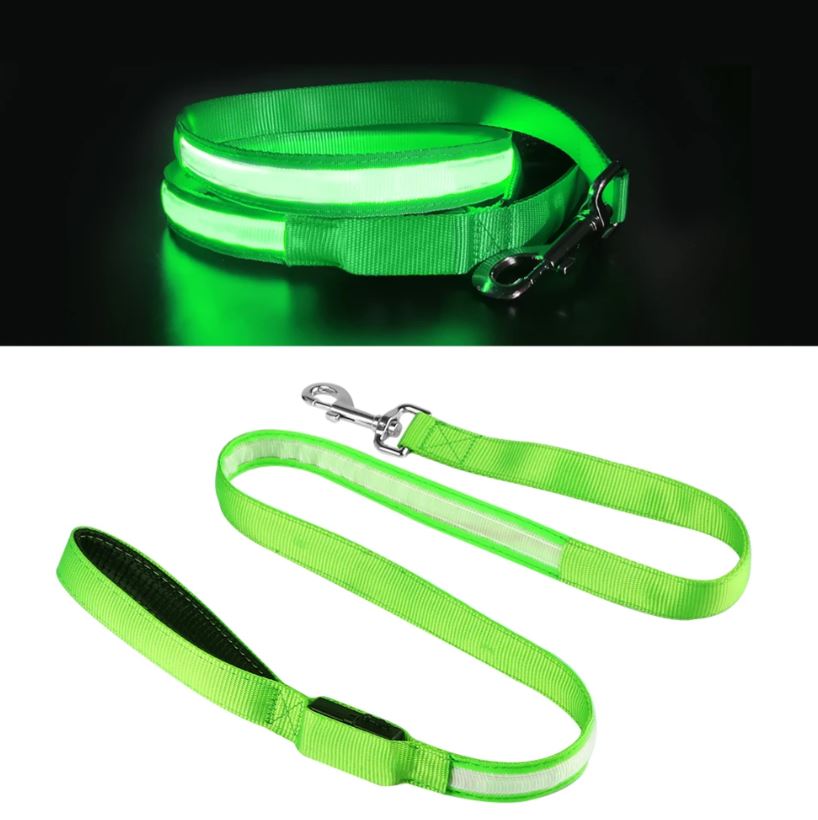 Correa LED para perro
