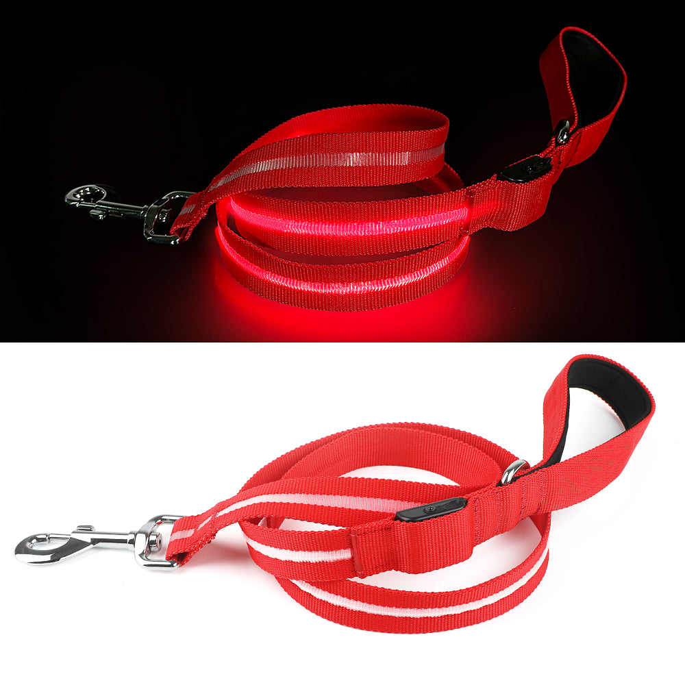 Correa LED para perro
